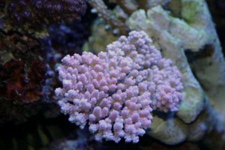 IMG_7990.jpg
