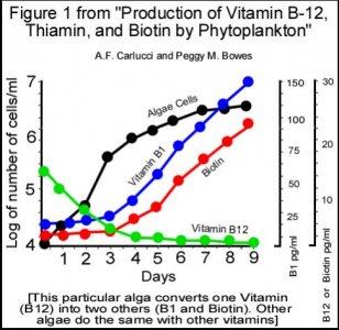 Production of Vitamin B-12, Thiamin, and Biotin by Phytoplankton - Fig 1.jpg