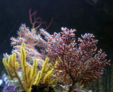IMG_7478.jpg