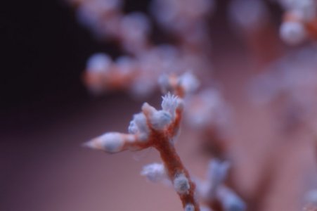 CRW_4564.jpg