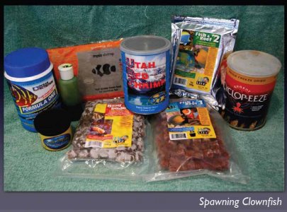 Variety of food to help spawning copy.jpg