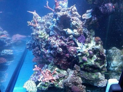 IMG00301-20100718-2139.jpg
