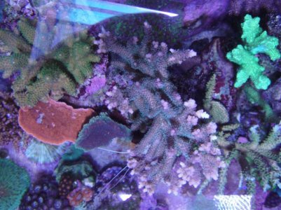oct 13 011 (Medium).jpg