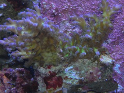 10-1-2010 017 (Medium).jpg