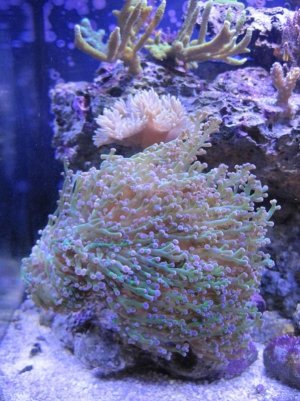 IMG_0787.jpg IMG_0787.jpg