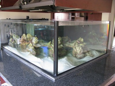 Reef central 118 [1024x768] [800x600].jpg