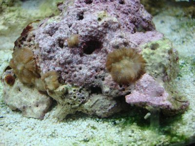 DSC01493.jpg DSC01493.jpg