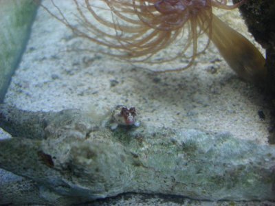 DSC01504.jpg DSC01504.jpg