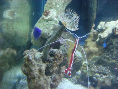 DSC01508.jpg DSC01508.jpg