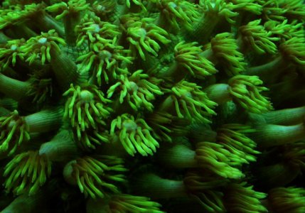 DSC01603.jpg DSC01603.jpg