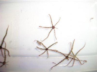 100_0369 (Small).JPG