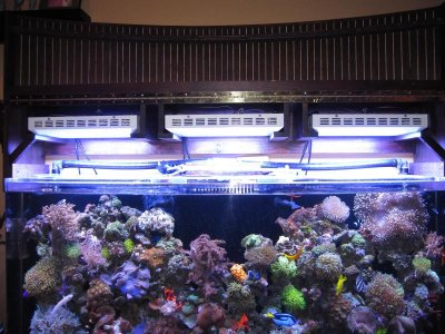tank with open hood.jpg