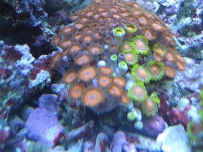 IMG_4140.jpg