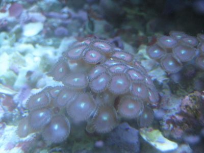 IMG_4150.jpg