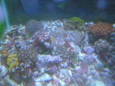 IMG_4153.jpg