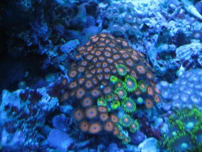 IMG_4155.jpg