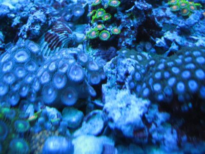 IMG_4156.jpg