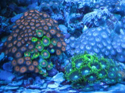 IMG_4157.jpg