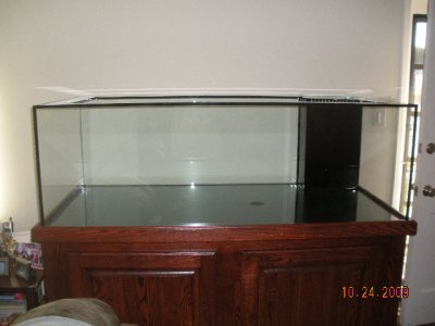 DSCN3988.JPG