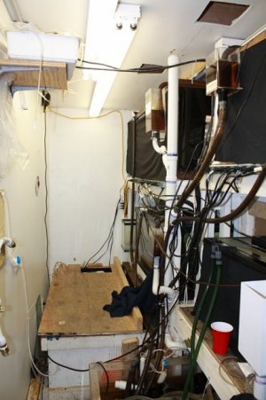 IMG_8168 [800x600].JPG