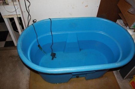 IMG_8169 [800x600].JPG