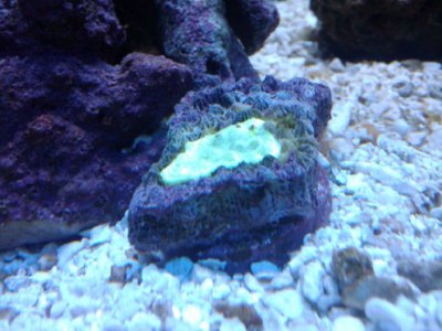 2010-11-04 12.58.21.jpg