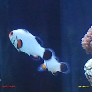 2010-10-18 22.15.57.jpg