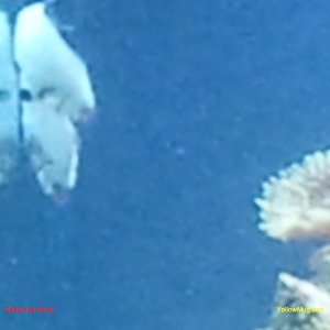 2010-11-09 21.13.09.jpg