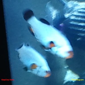 2010-11-09 22.18.01.jpg