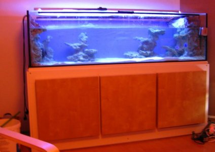 IMG_2229.jpg