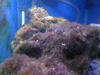 photo 3.JPG