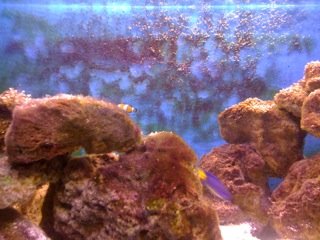 photo 5.JPG