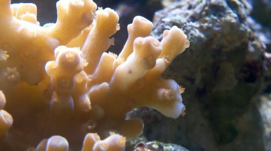 2010-10-23_18-26-29_808[1].jpg
