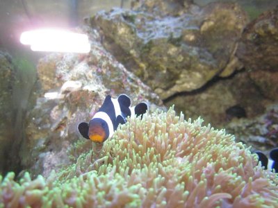 hollys photos 061.jpg