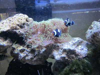 hollys photos 062.jpg