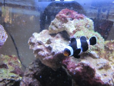 miles photos 014.jpg