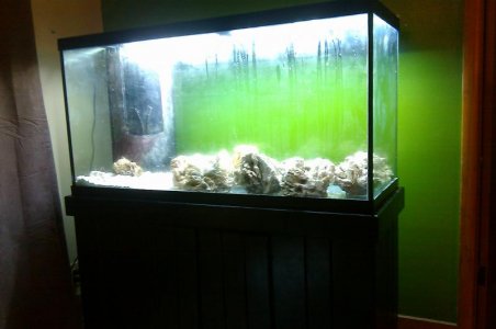 IMAG0064.jpg