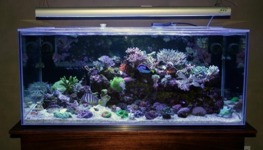 FTS.jpg