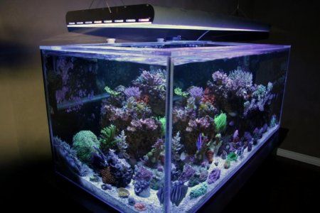 FTS Left.jpg