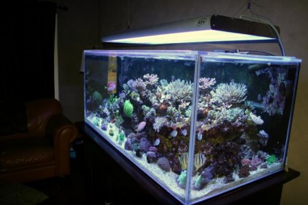 FTS Right.jpg