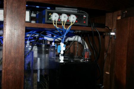 Right Sump.jpg
