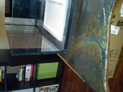 IMG00130-20101024-1428.jpg
