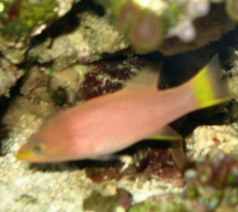 rsz_unkown_1 (1).jpg