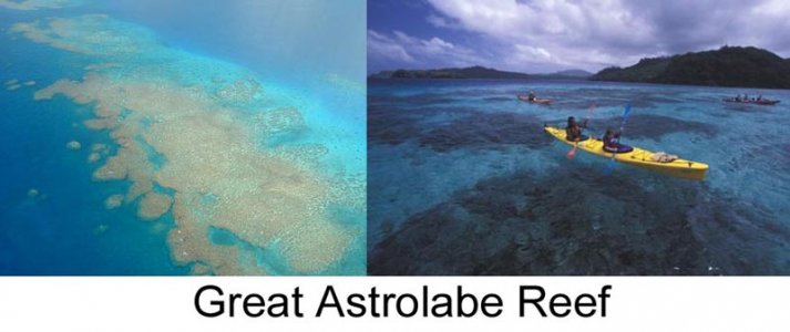Great Astrolabe Reef.jpg