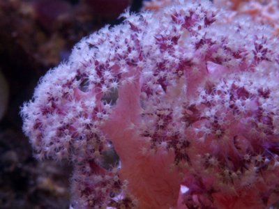 CRW_4583.jpg