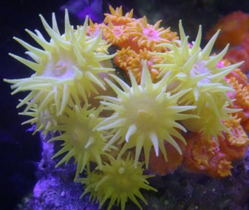 CRW_4584.jpg