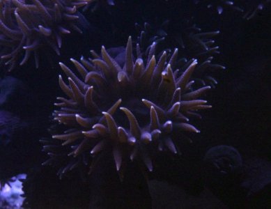 CRW_4585.jpg