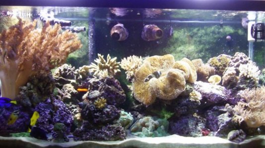 928_0735 (Small).jpg