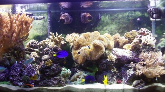 928_0737 (Small).jpg