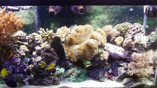 928_0738 (Small).jpg